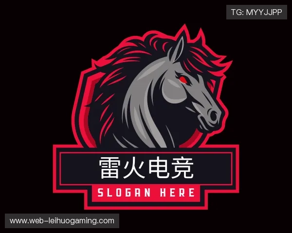 关于雷火电竞团队